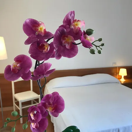 Grazioso A Due Passi Dal Mare Apartman *
