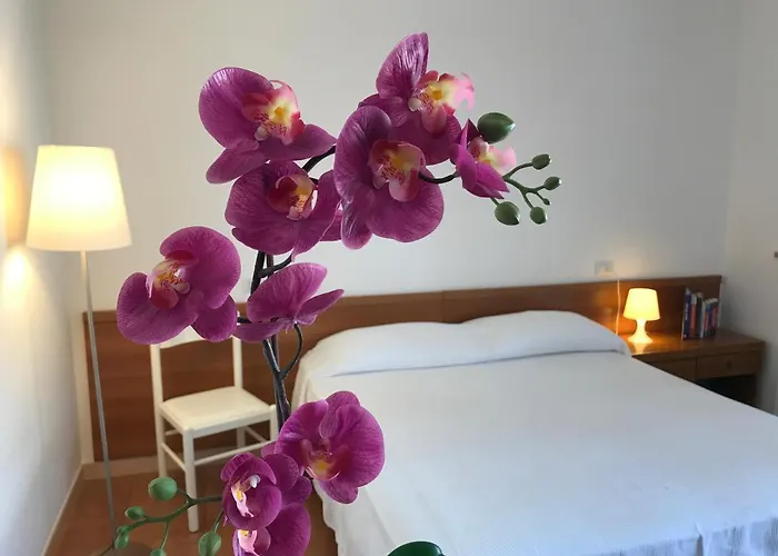 Grazioso A Due Passi Dal Mare Apartman *